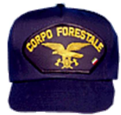 cfs