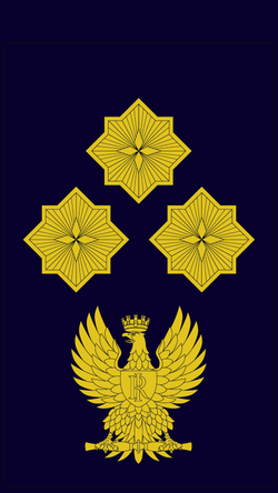 Commissario ruolo direttivo speciale ps.png
