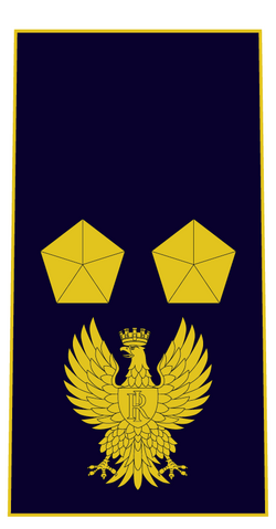 Ispettore ps.png